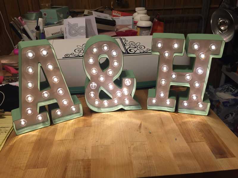 Picture of adorable Kitty Cat