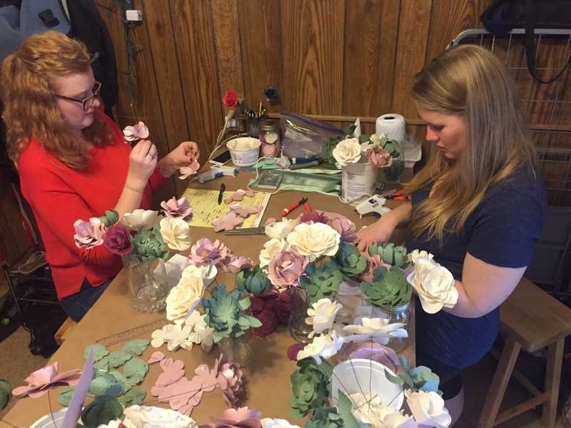 Picture of adorable Kitty Cat