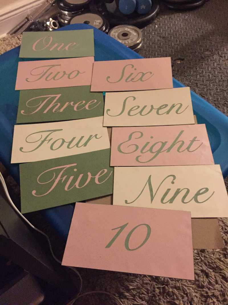 Picture of adorable Kitty Cat