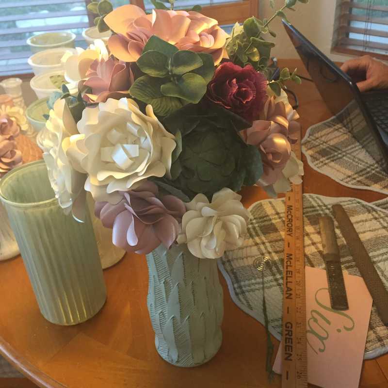 Picture of adorable Kitty Cat