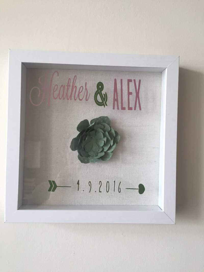 Picture of adorable Kitty Cat